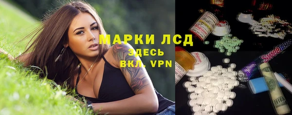 ПСИЛОЦИБИНОВЫЕ ГРИБЫ Гусь-Хрустальный