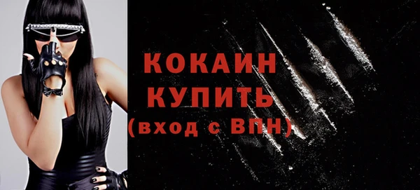 ПСИЛОЦИБИНОВЫЕ ГРИБЫ Гусь-Хрустальный