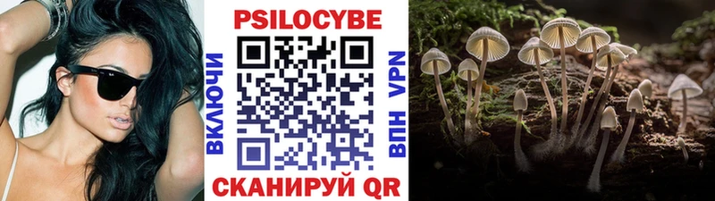 darknet как зайти  Железногорск-Илимский  Псилоцибиновые грибы MAGIC MUSHROOMS 